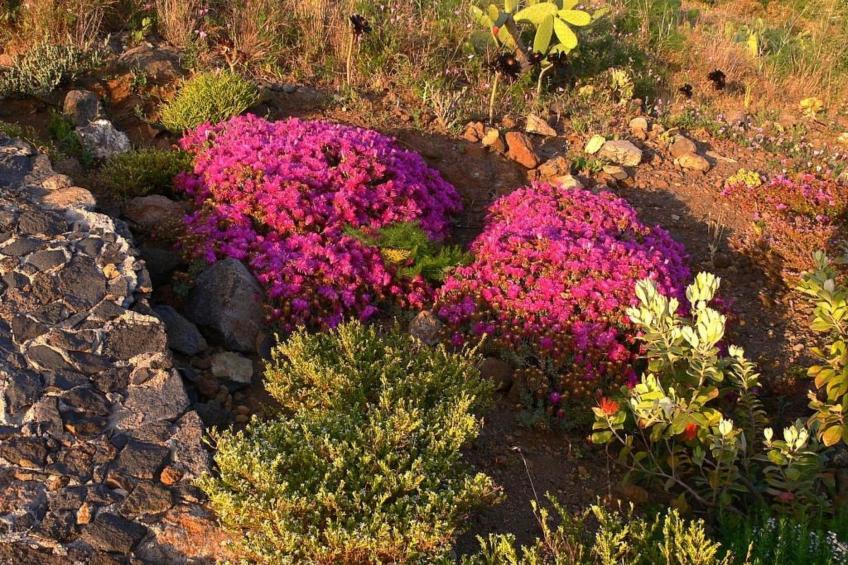 Nettes Ferienhaus in Tijarafe mit Privatem Pool und Panoramablick - foto 30