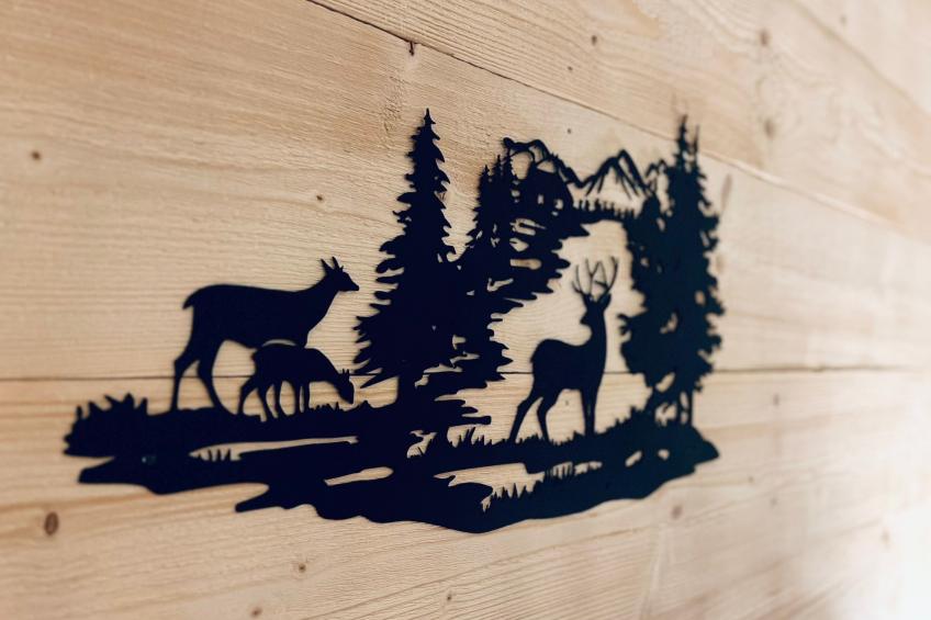 Chalet Alpenblick - foto 14