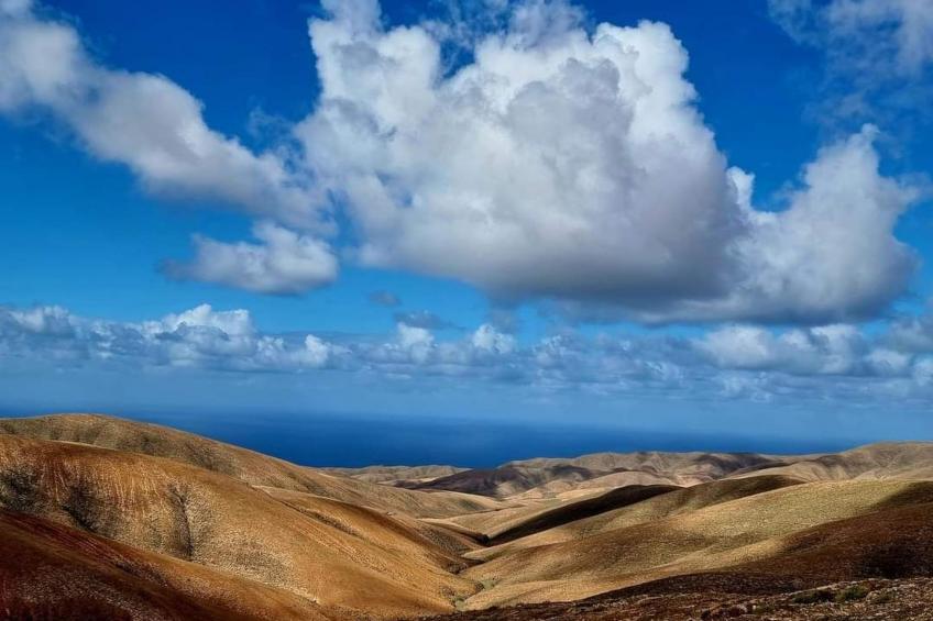 "Casa Freesia - foto 50