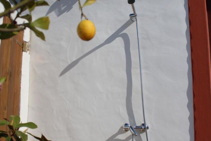 "The Natural Elements" - foto 11