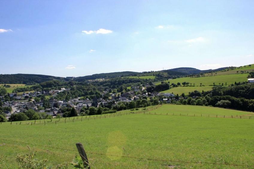 202645 - foto 31