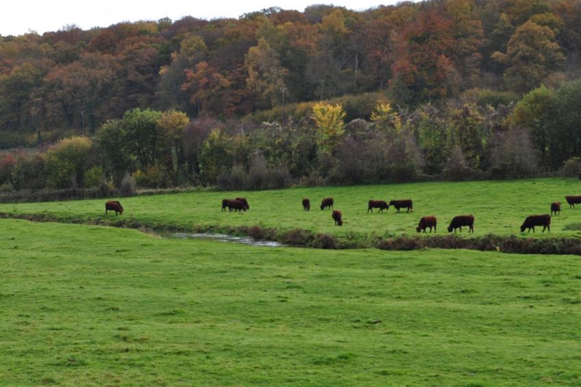 für acht Personen - foto 32