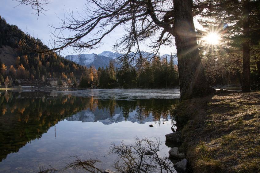 Alpes et Lac 14 - foto 21