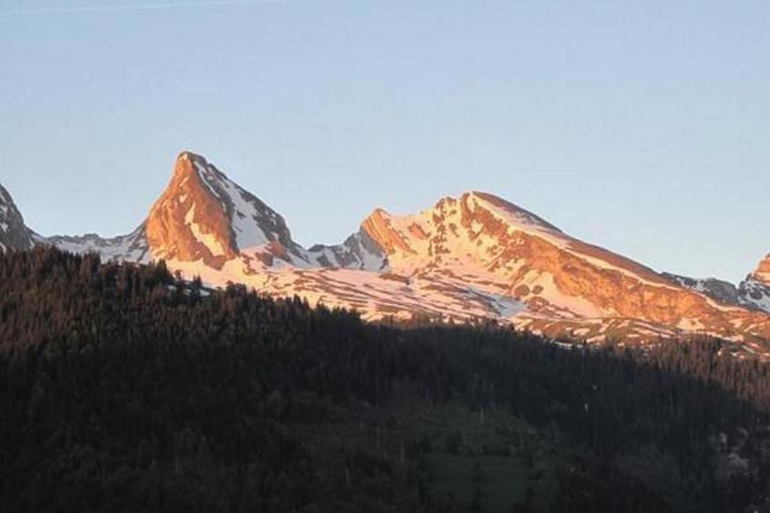 Gubel - foto 12