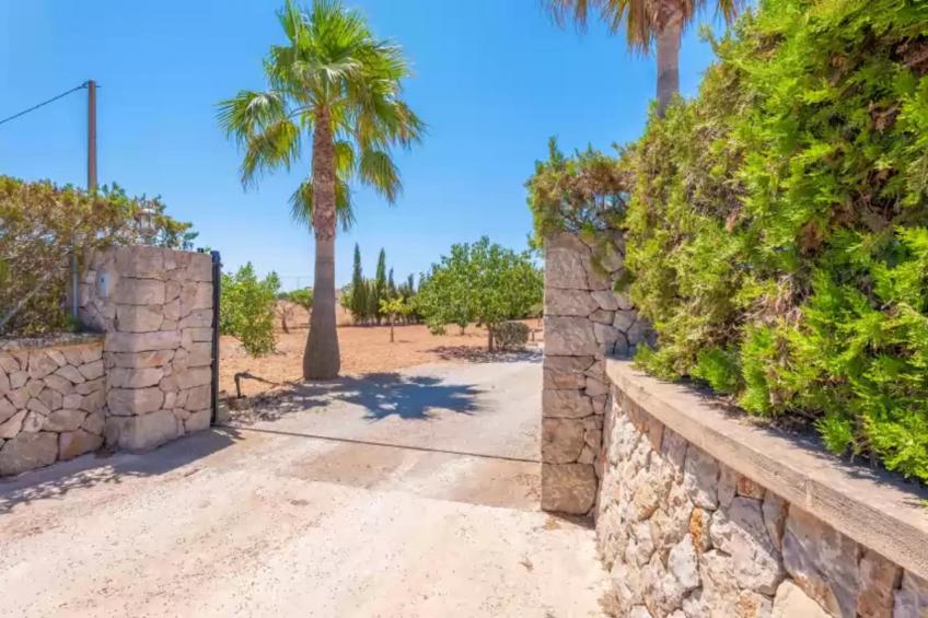 Els Xiprers - foto 9