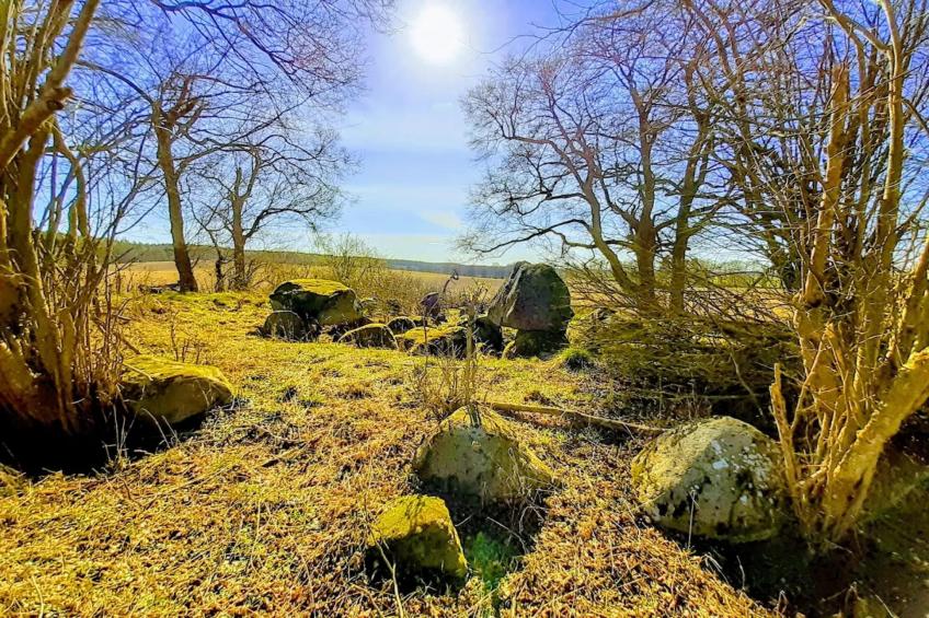 Ferienwohnung Weitblick - foto 24
