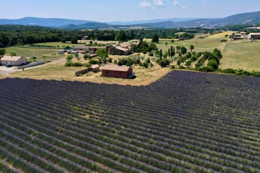 Mas La Miellerie | Charme Authentique Et Nature - foto 69