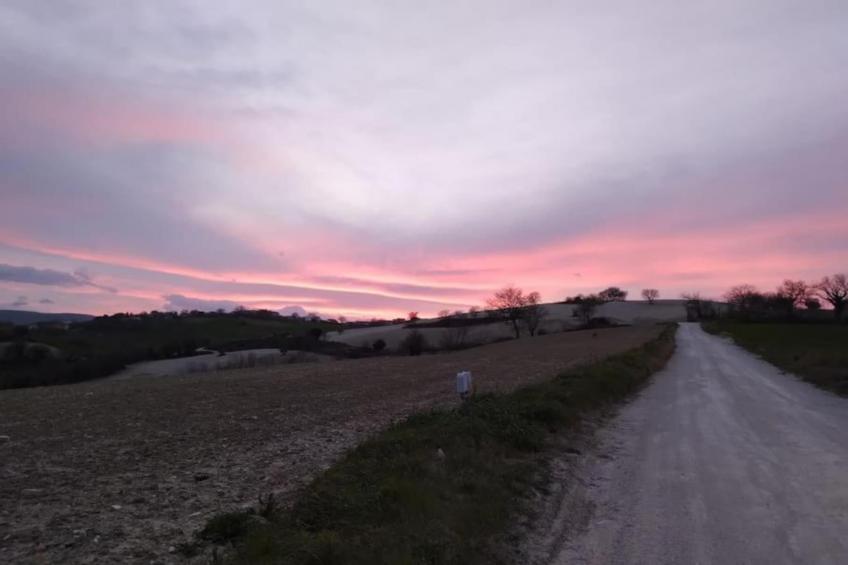 Lella - foto 38