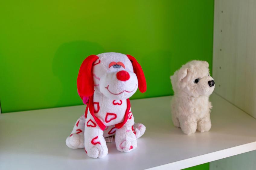 "Schmetterlingsplatz" - foto 35