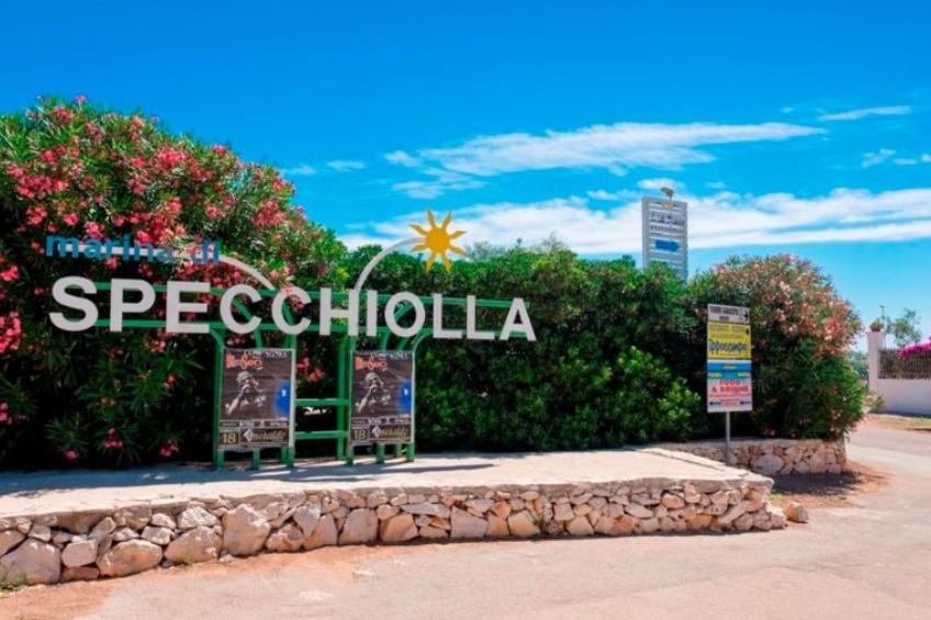 Flaches Meer aus Kiefernholz - foto 18