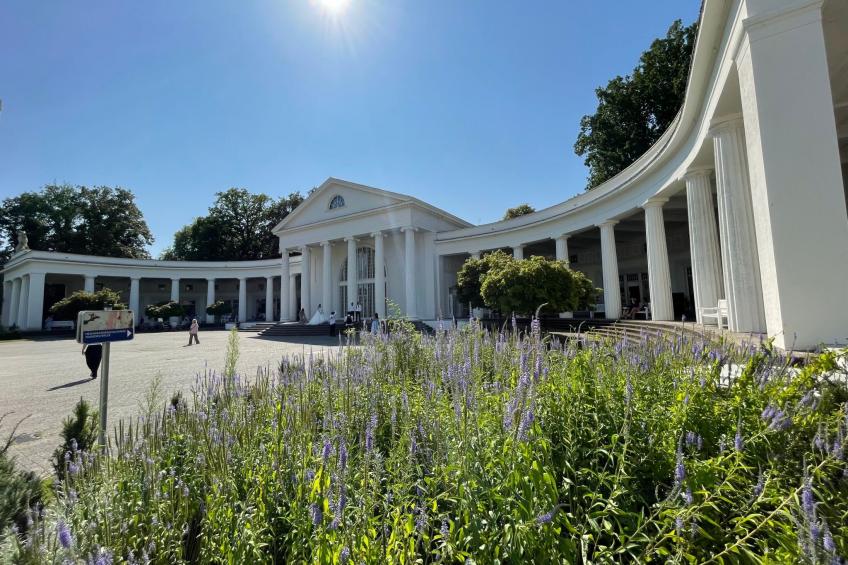 Stadt-Oase - Kliniken, Bali-T., GOP, Parkplatz , Netflix - foto 29