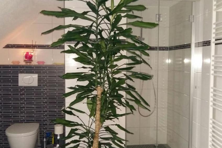 mit Whirlpool - foto 11