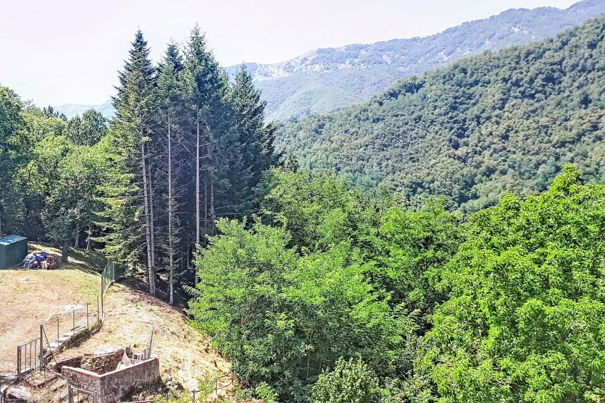 La Casa di Tea - foto 31