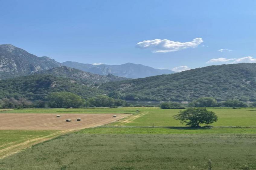 Cobert de l'Era - foto 32