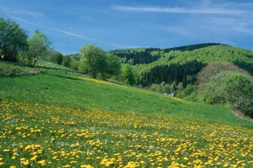 Im Ries III - foto 38