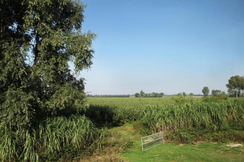 De Biezenpolder - foto 35