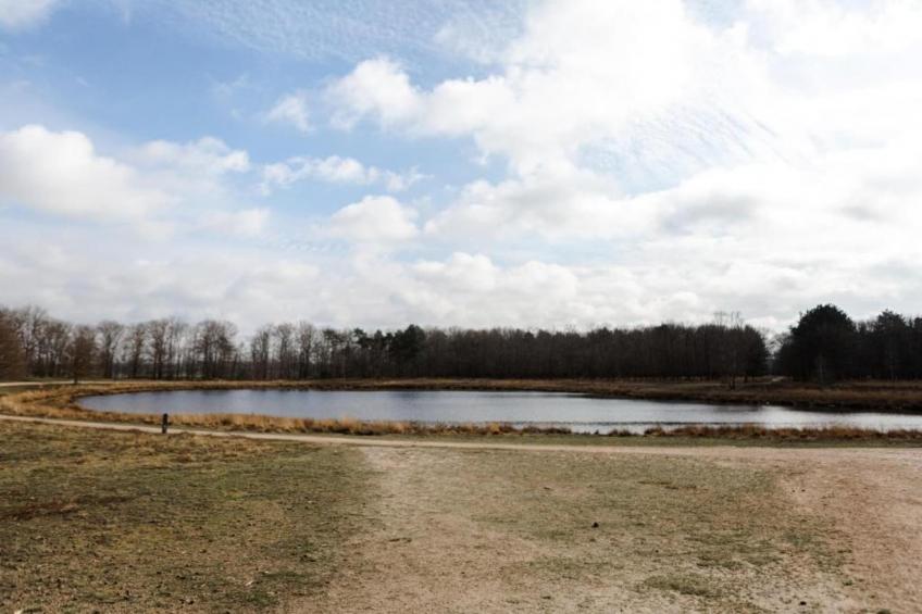 Dorpswoning Het Jagershuis - foto 36
