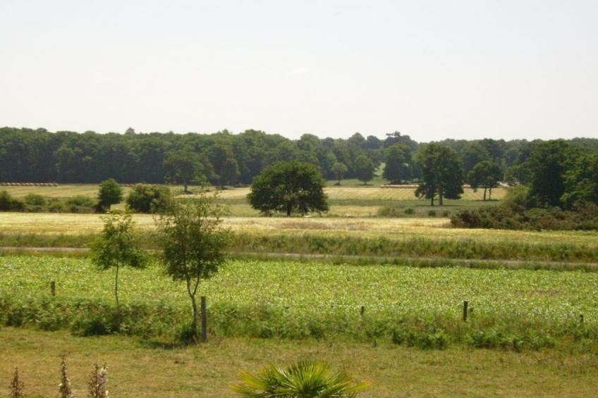 Résidence Le Domaine de l'Emeraude - foto 30