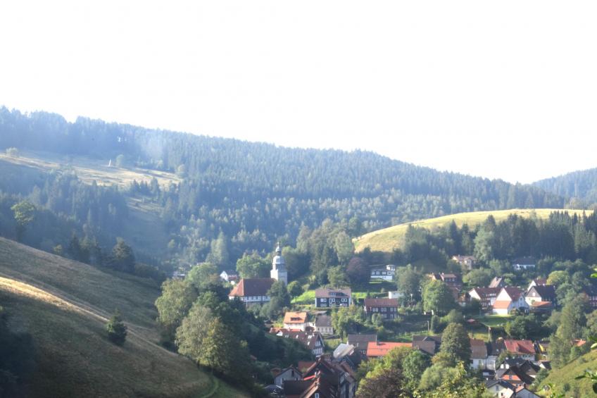 Ferienwohnung Veranda in Harz Wildemann - foto 33