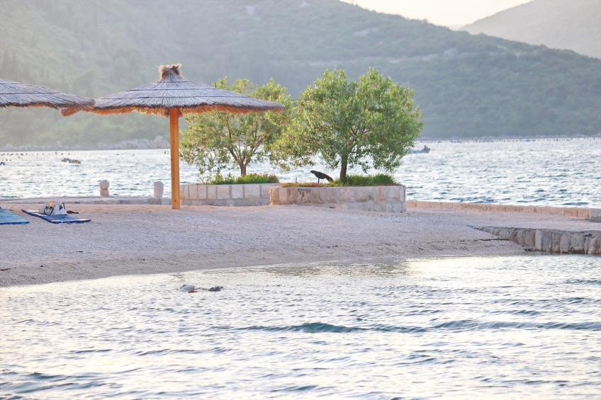 Apartment Relax Ston - Two Bedroom Apartment with Terrace - foto 19