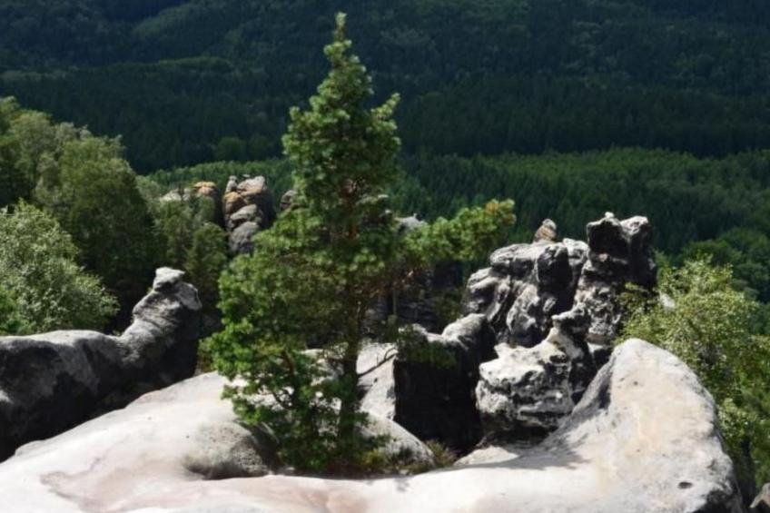 Haus am Stein Haus 1 - foto 35