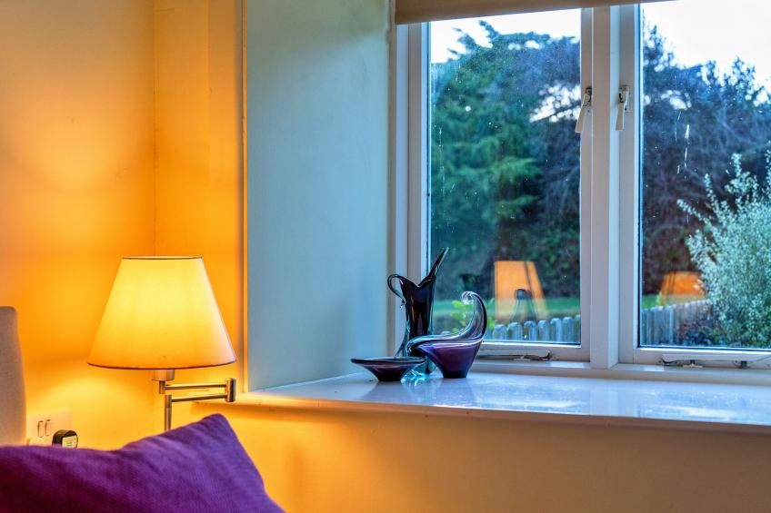 Jenny Wren - foto 13