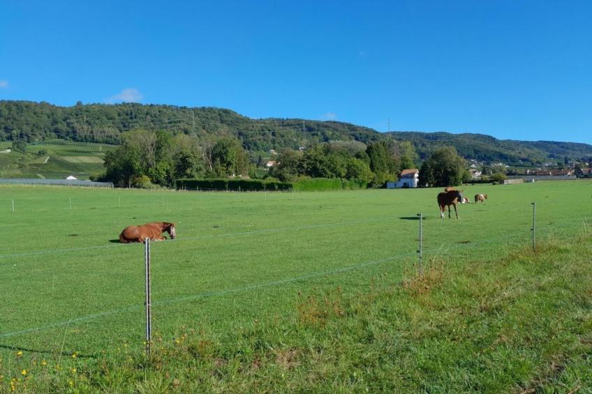 in Bauernhof - foto 20