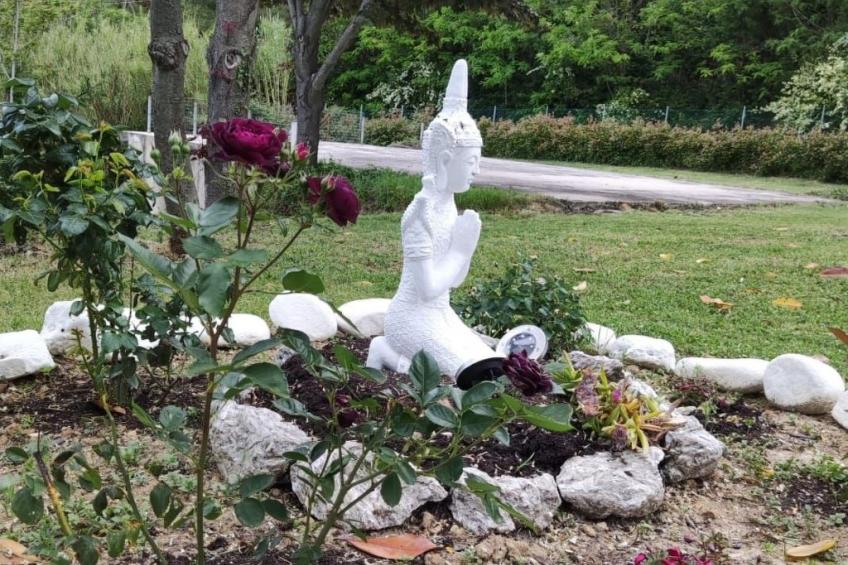 'Dear Peace on the Hill - foto 14