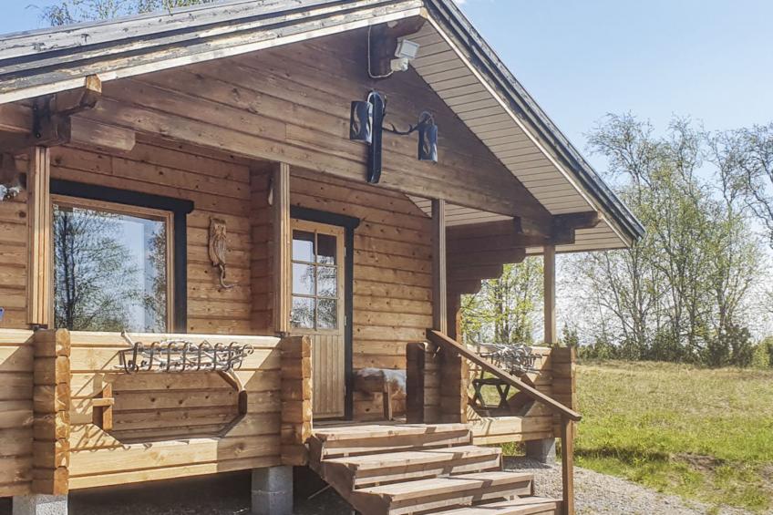 Pikkupöllö - foto 14