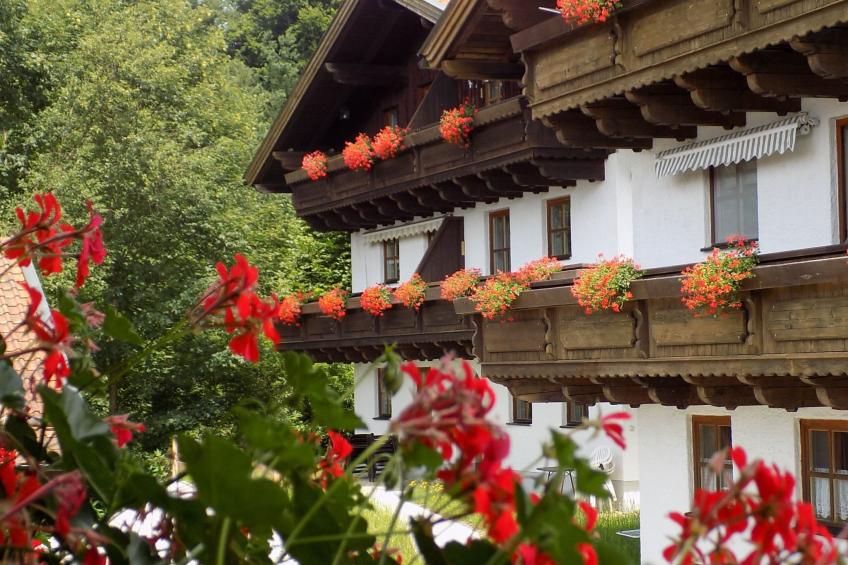 Wohnung mit möblierter Terrasse und Waldblick - foto 8