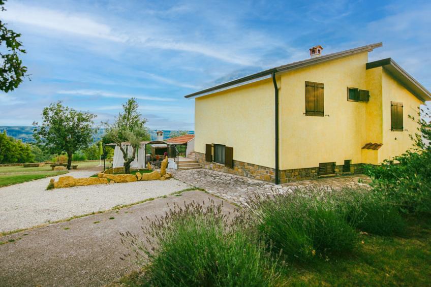 Margherita - foto 16