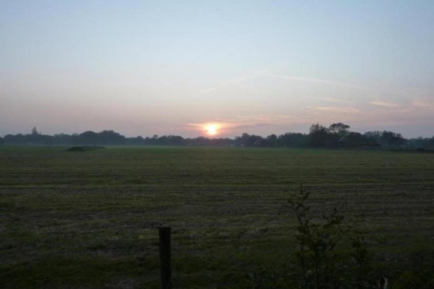 De Strandvogel - foto 38