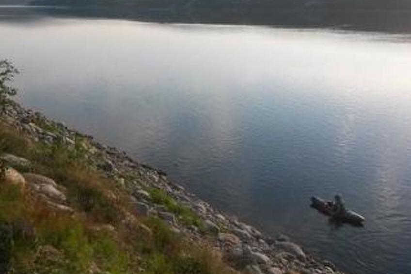 Karetörmä - foto 38