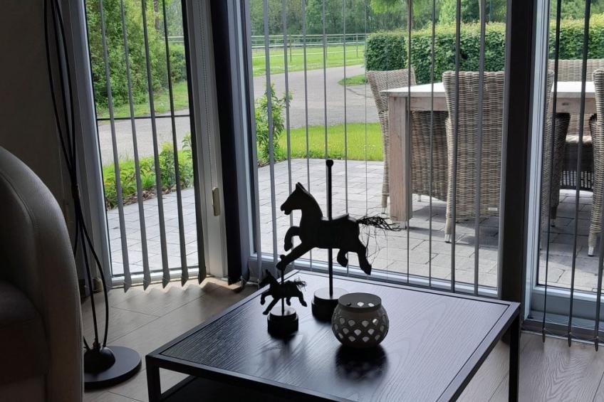 Ferienchalet an der Grenze zwischen Brabant und Zeeland - foto 10