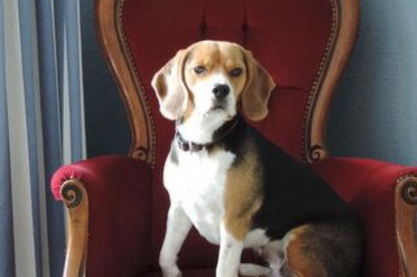 Liebevoll eingerichtetes Wohlfühl Ferienhaus - foto 42