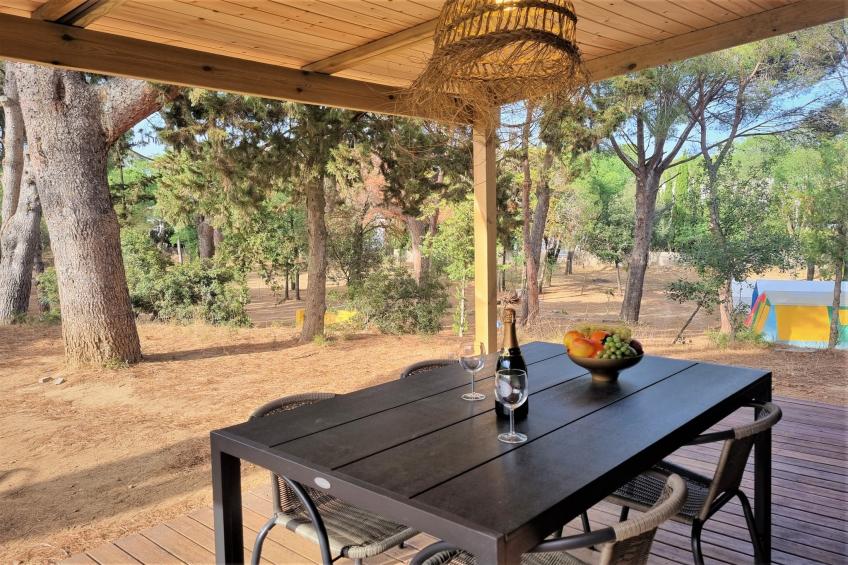 Nomad Harmonia - foto 40