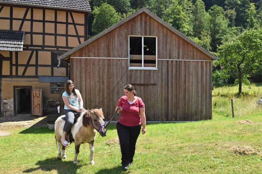 Am Ferienbauernhof - foto 34