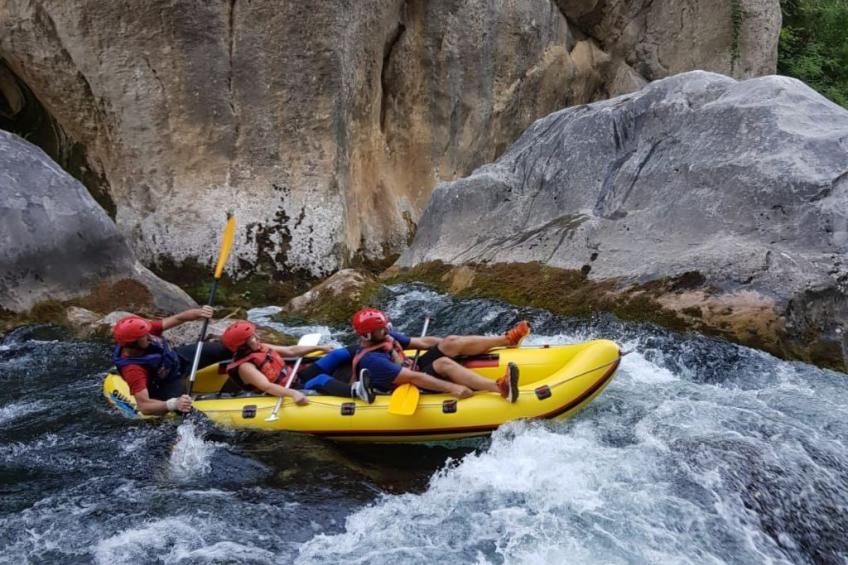 La Finca OliveTree - foto 48