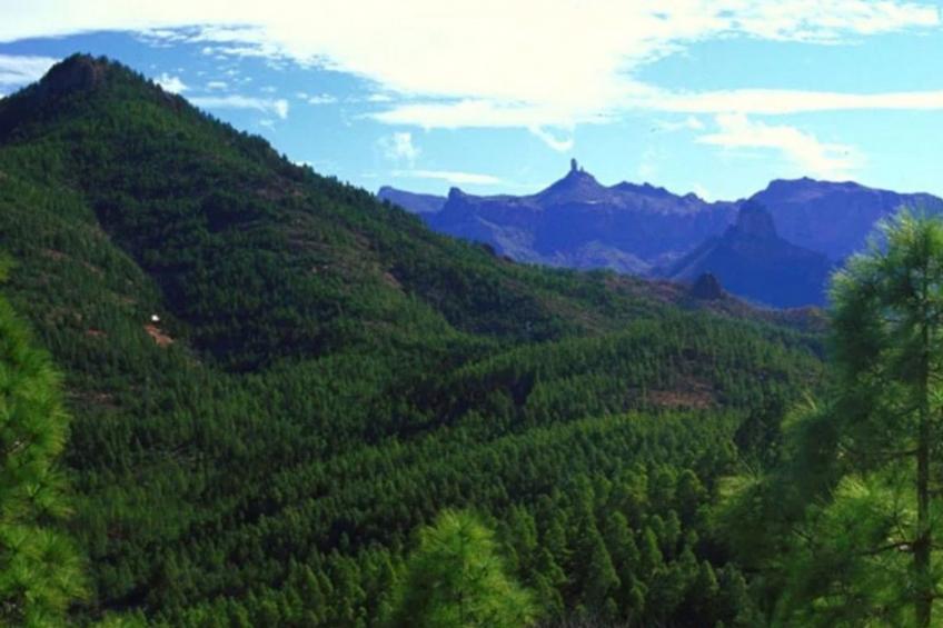 Landhaus "La Cabaña" mit Privatparkplatz - foto 34