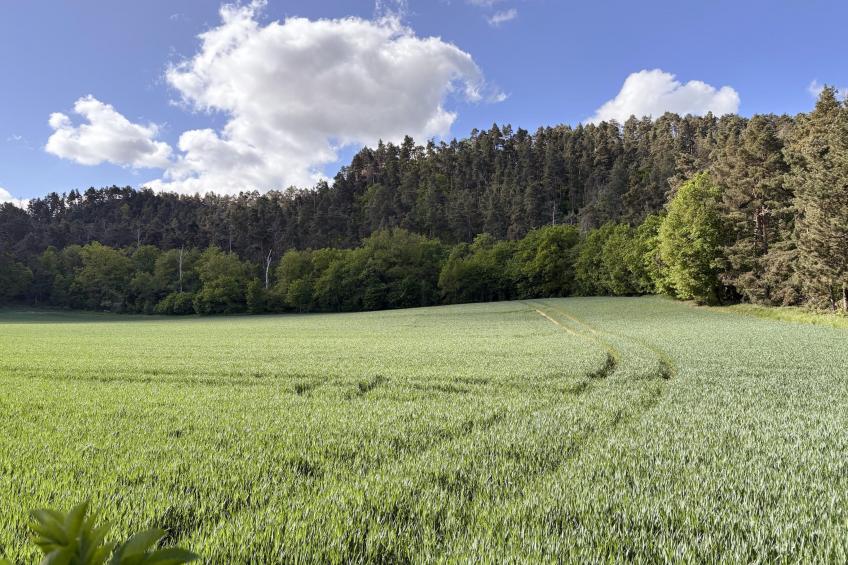 Zur Teufelsmauer - foto 13