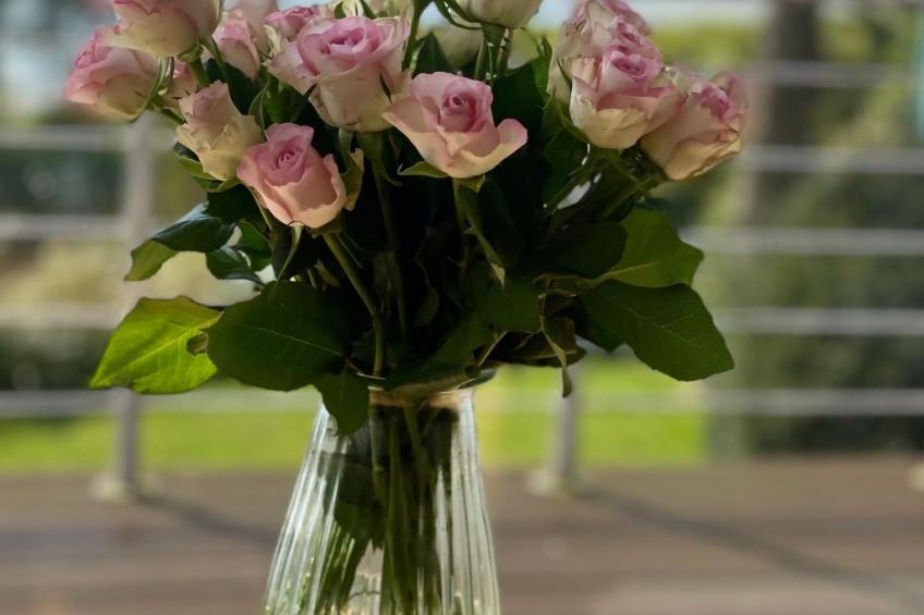 in Klingberg mit Seeblick - foto 6