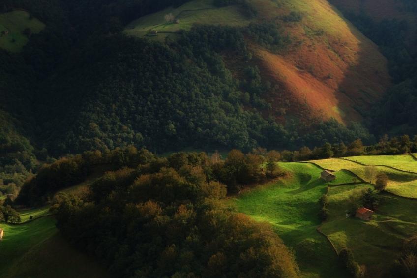 Fachwerkhaus mit Garten - foto 38