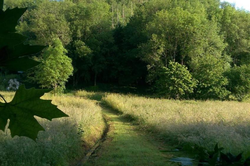 La Monestière - foto 27