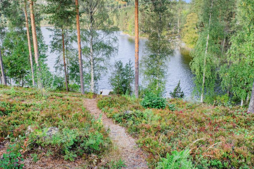 Saunaharju 6 - foto 25