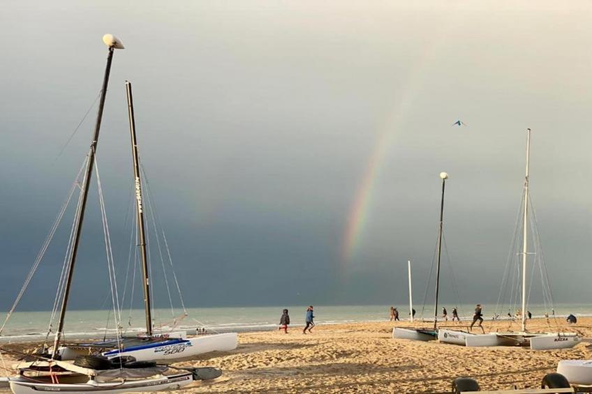 Zilte Rust - foto 35