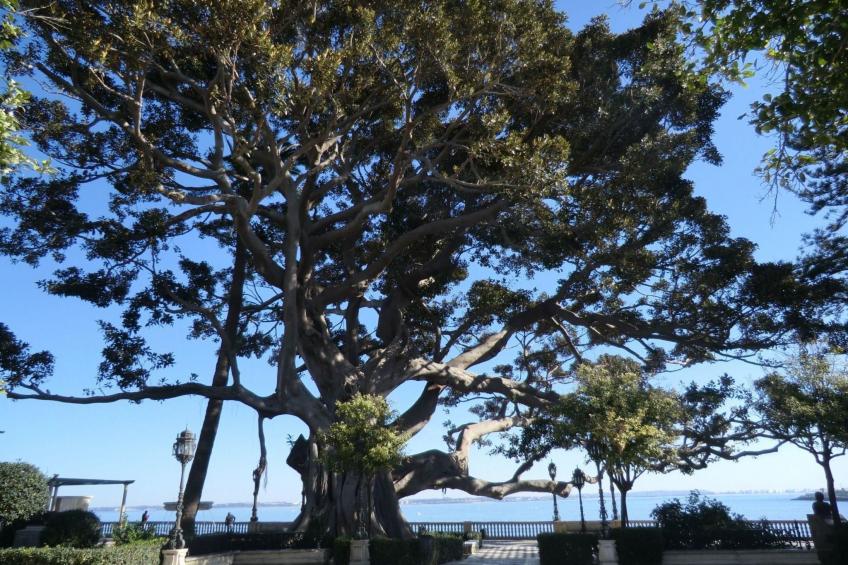 Große Wohnung in Cádiz, Kathedrale in der Nähe - foto 18