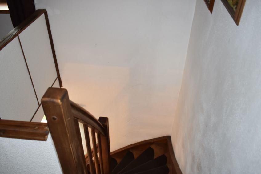 FeWo Bergfrühling - foto 9