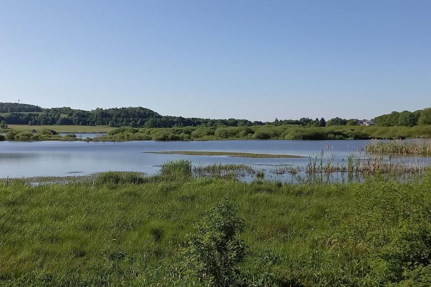 in der Vulkaneifel - foto 24