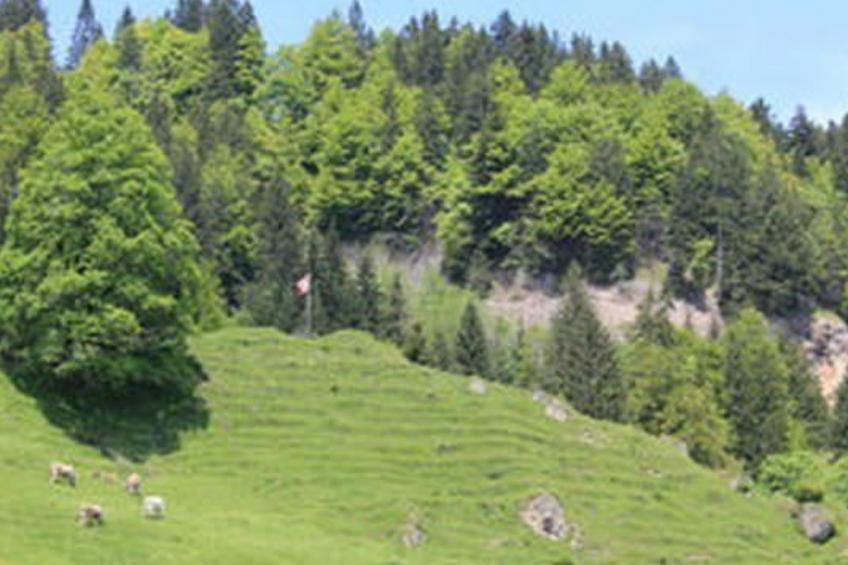 Obere Laui - foto 45