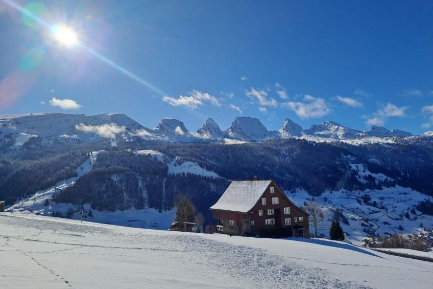 Haldenhof Schwizer - foto 27